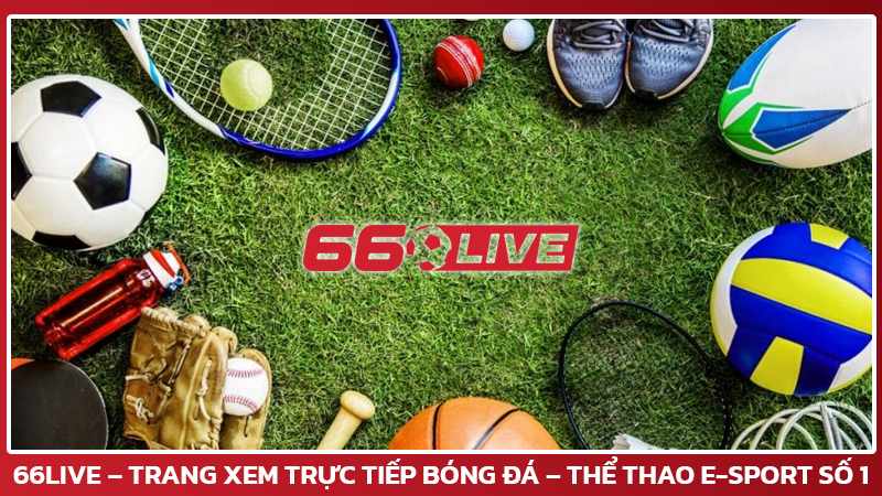 66live – Trang Xem Trực Tiếp Bóng Đá – Thể Thao E-Sport Số 1