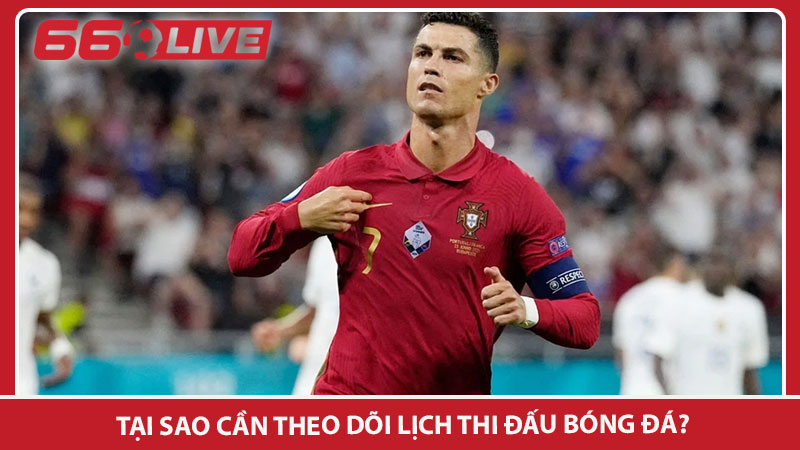 Tại sao cần theo dõi lịch thi đấu bóng đá?