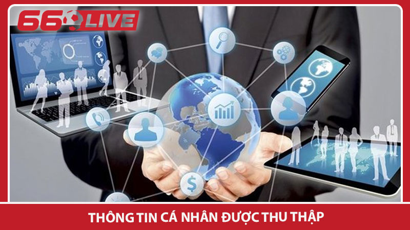 Thông tin cá nhân được thu thập