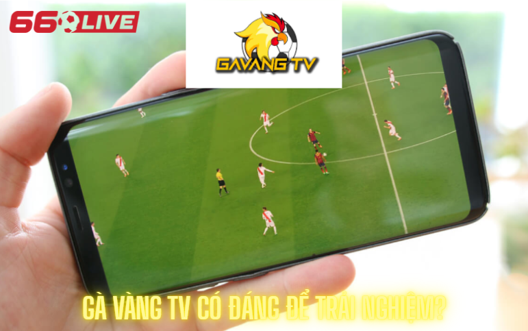 Gà Vàng TV có đáng để trải nghiệm?